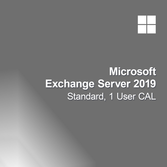 Microsoft Exchange Server 2019 Standard 1 User CAL